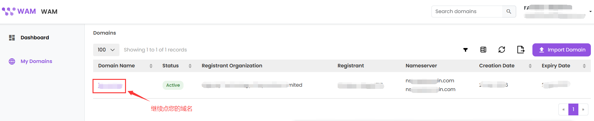 点击需要管理的域名